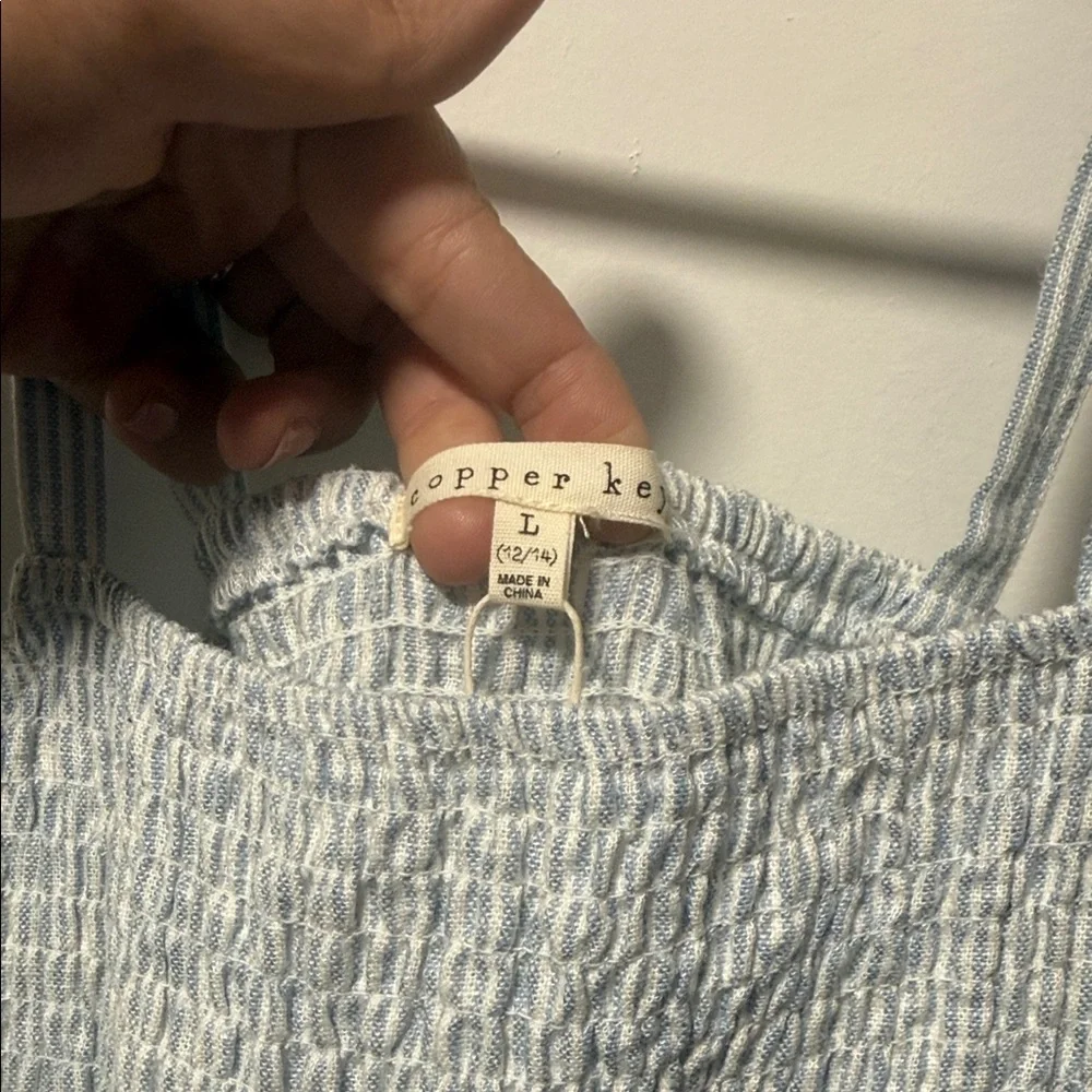 Copper Key Light Blue Striped Casual Dress - Picture 3 of 5